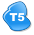 T5