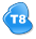 T8