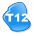 T12